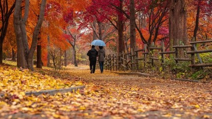 Herfstwandeling in Izegem met een plus